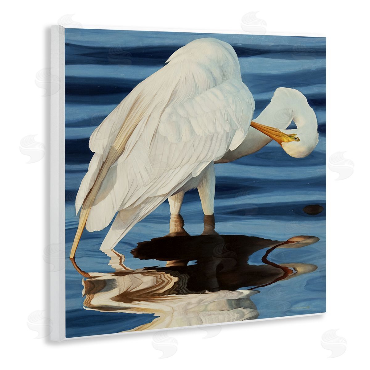 David Kiehm Crane Bird Preening  Wooden Wall Plaque Art Print
