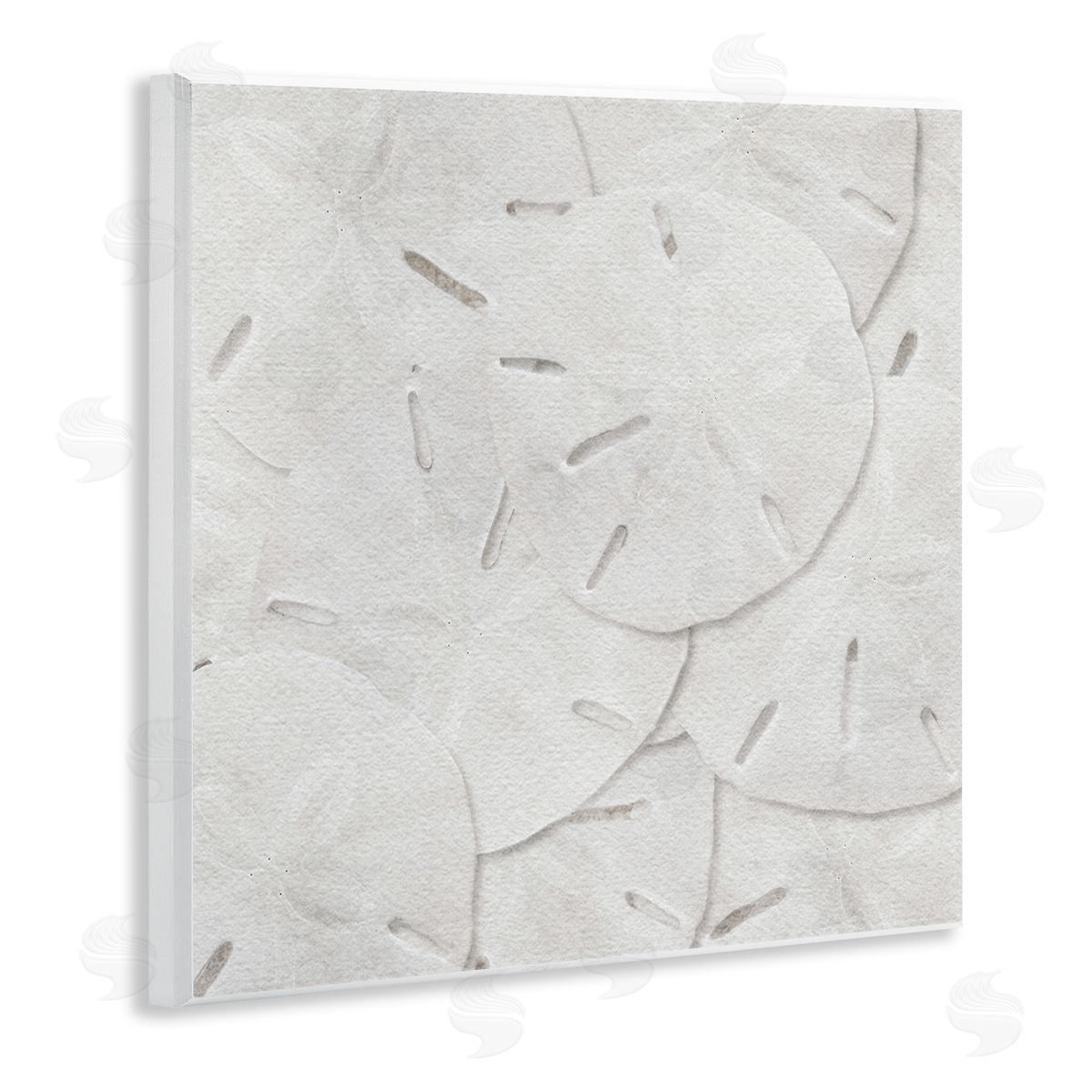 LSR Design Studio Nautical Sand Dollars Wooden Wall Plaque Art Print