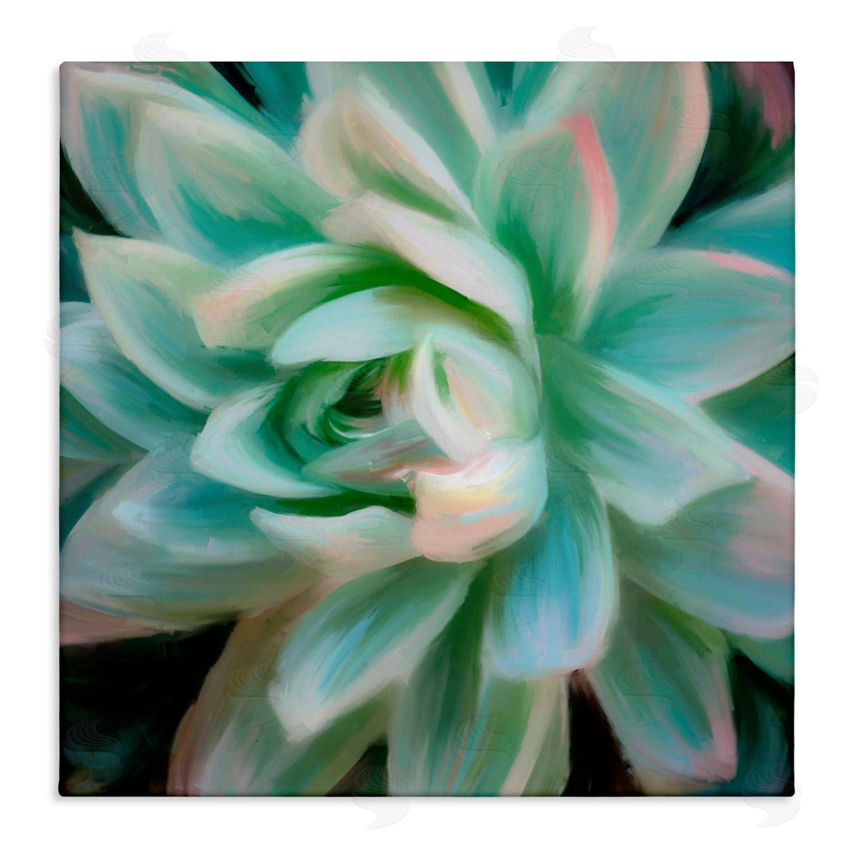 Amy Hall Green Modern Succulent Stretched Canvas Wall Art Print
