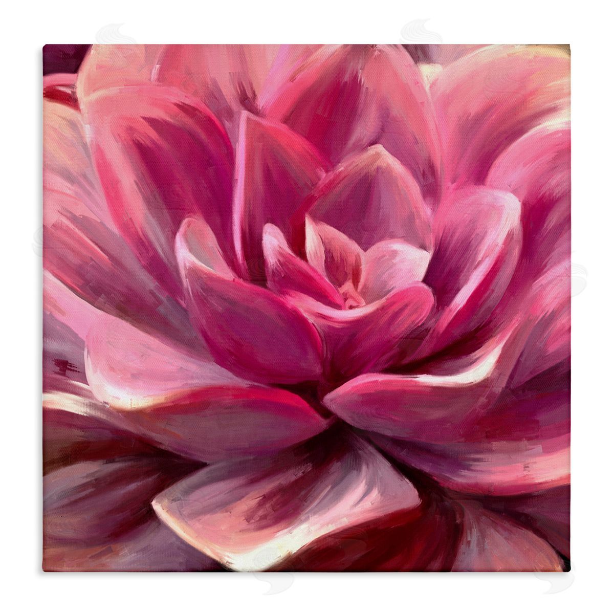 Amy Hall Pink Succulent Leaves Stretched Canvas Wall Art Print