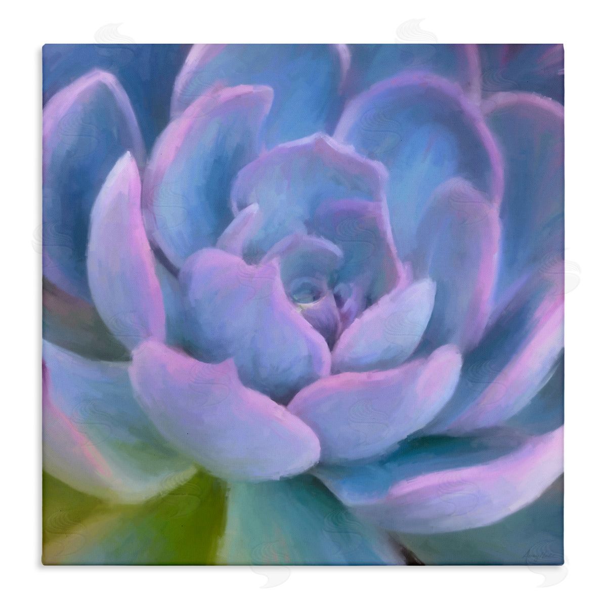 Amy Hall Purple Modern Succulent Stretched Canvas Wall Art Print
