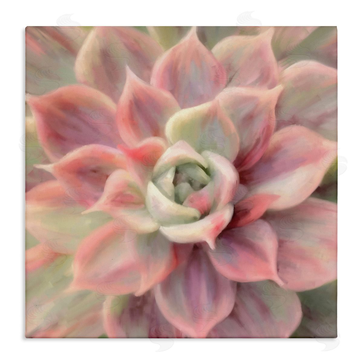 Amy Hall Pink Symmetrical Succulent Stretched Canvas Wall Art Print