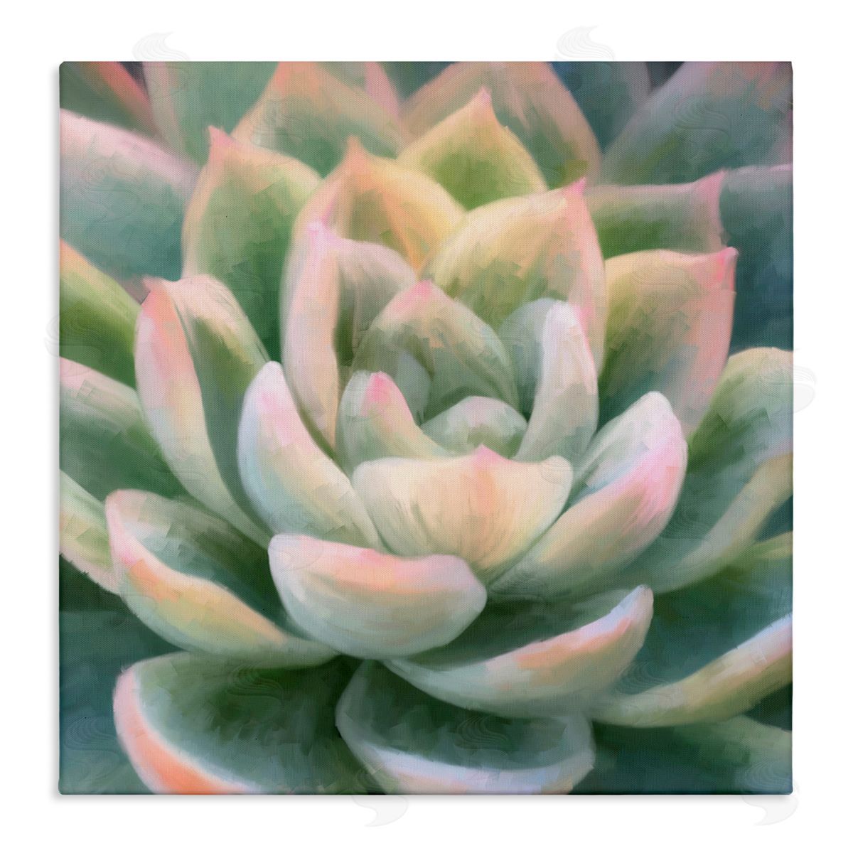 Amy Hall Green Succulent Petals Stretched Canvas Wall Art Print