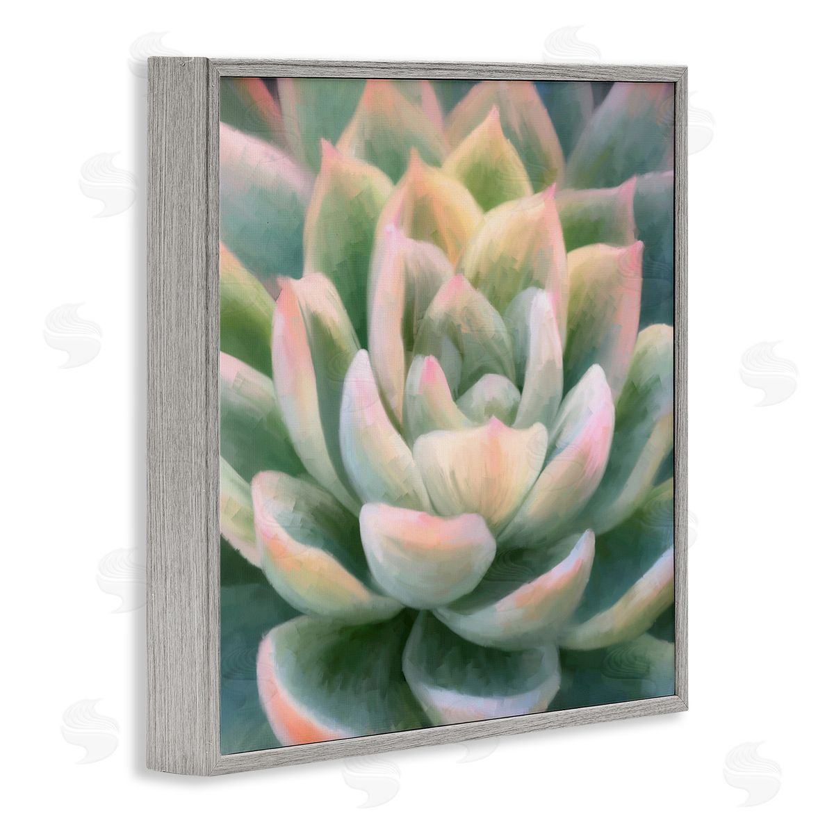 Amy Hall Green Succulent Petals Gray Framed Glicee Wall Art Print