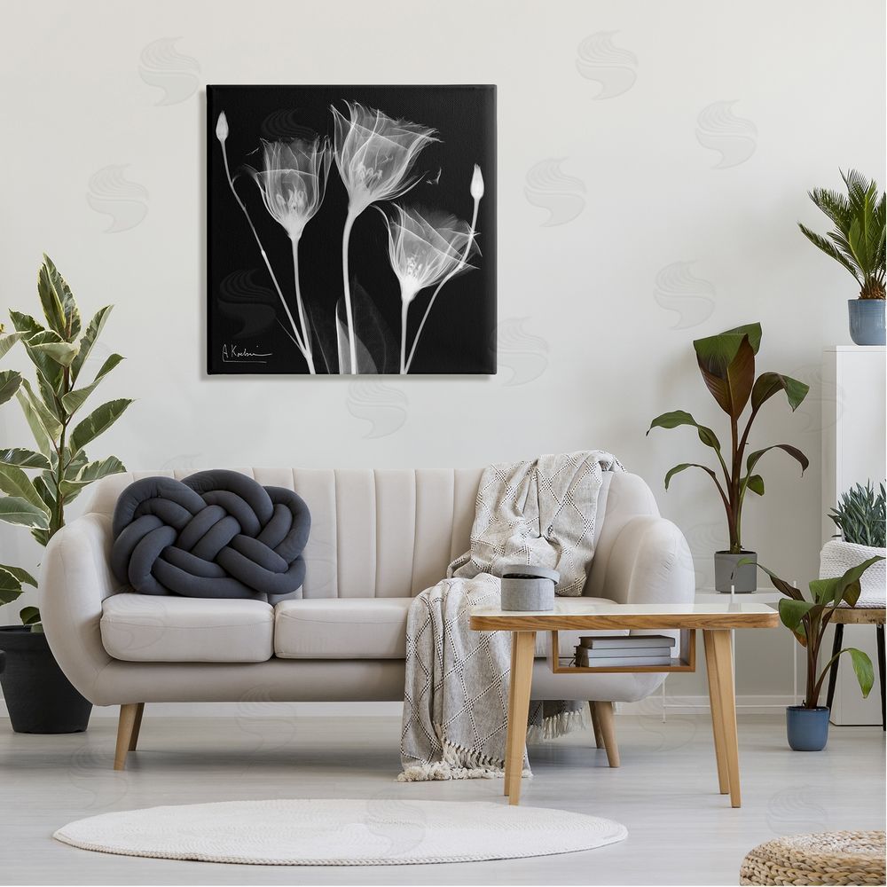 Albert Koetsier Contemporary Tulip X-Ray Canvas Wall Art in Room
