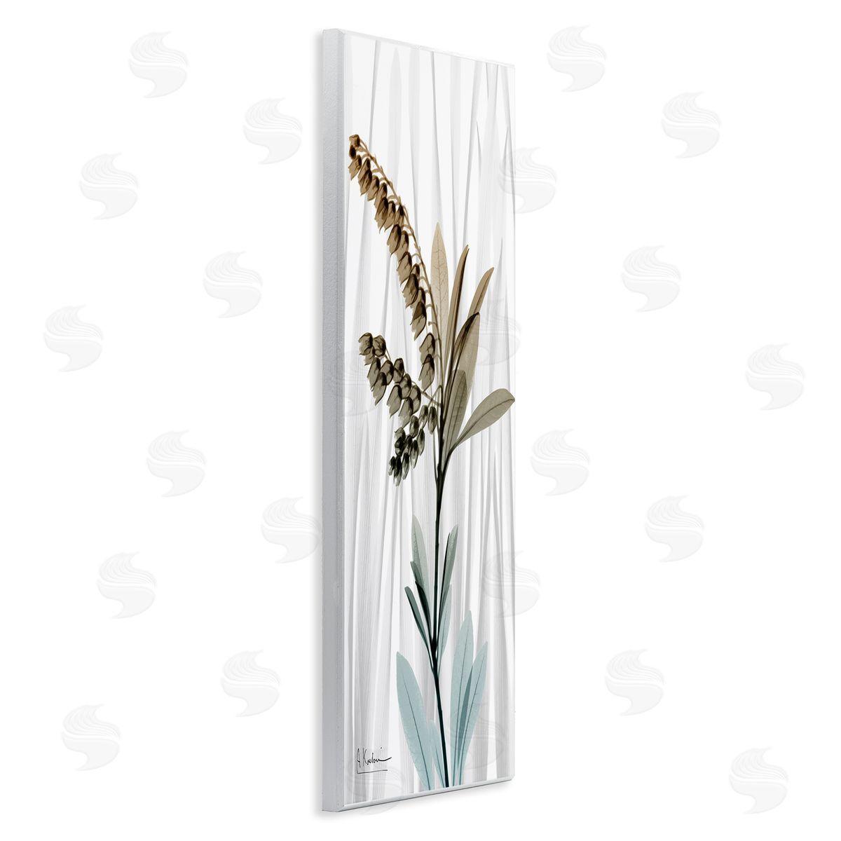 Albert Koetsier Modern Snowd_siderops Flower