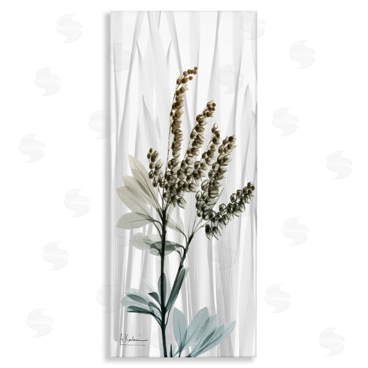 Albert Koetsier Snowd_siderops X-Ray Plant