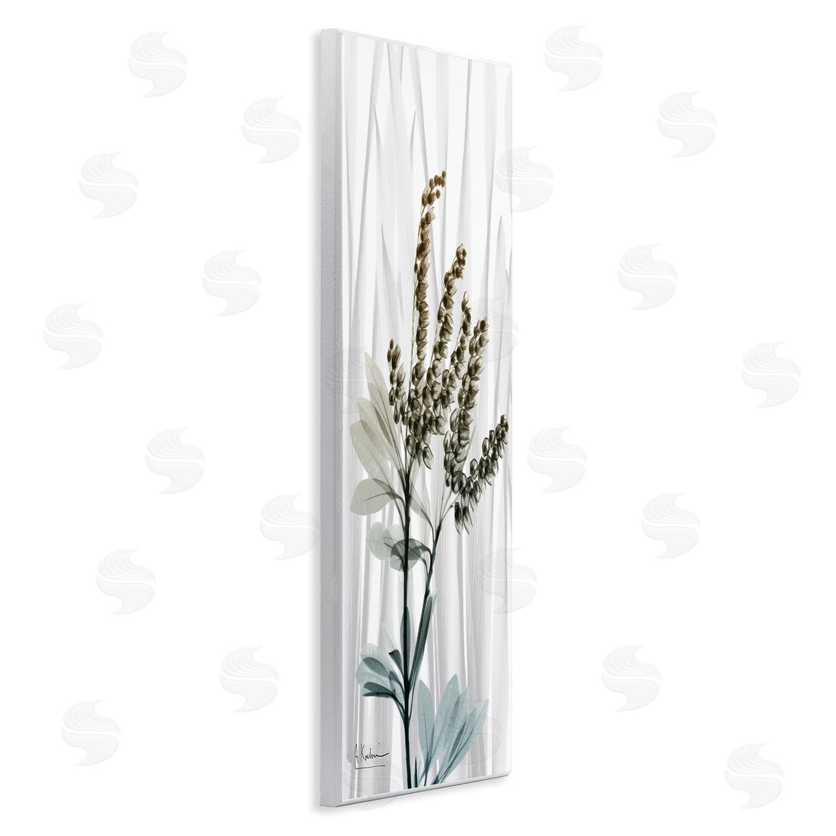 Albert Koetsier Snowd_siderops X-Ray Plant