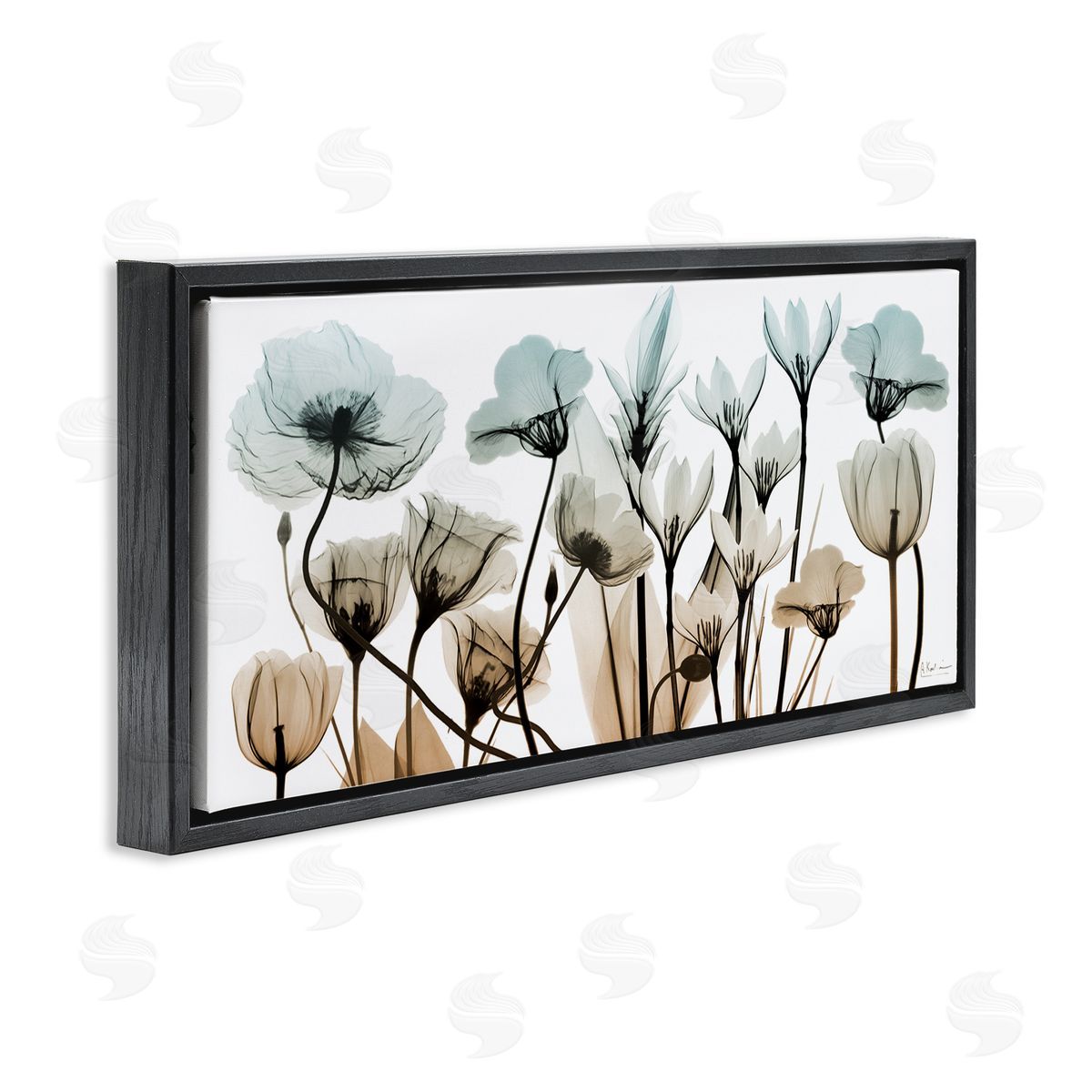 Mixed Transparent Flowers Black Floating Frame Canvas Wall Art, Home Decor by Albert Koetsier