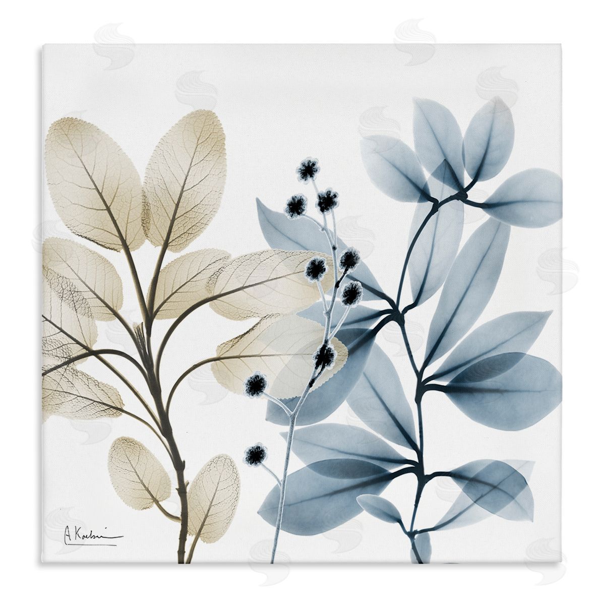 Albert Koetsier Blue & Beige Plants Stretched Canvas Wall Art Print
