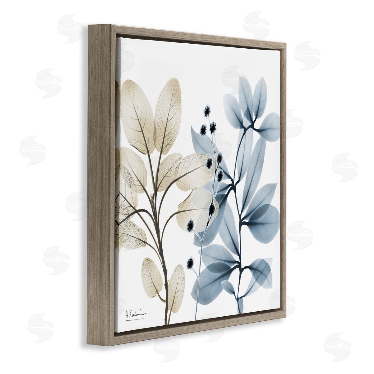 Albert Koetsier Blue & Beige Plants Brown Floating Frame Canvas Wall Art Print