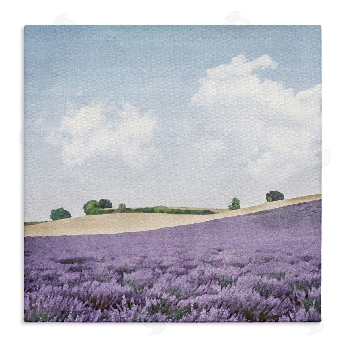 LSR Design Studio Rural Lavender Farm Stretched Canvas Wall Art Print