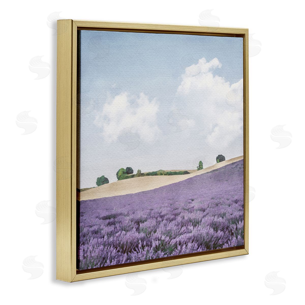 LSR Design Studio Rural Lavender Farm Gold Floating Frame Canvas Wall Art Print