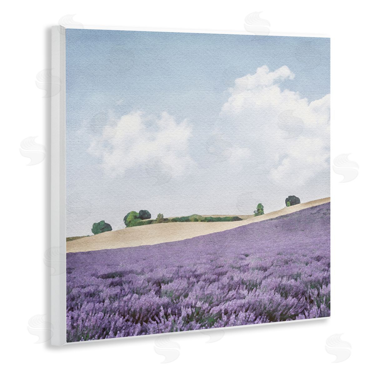LSR Design Studio Rural Lavender Farm Wooden Wall Plaque Art Print