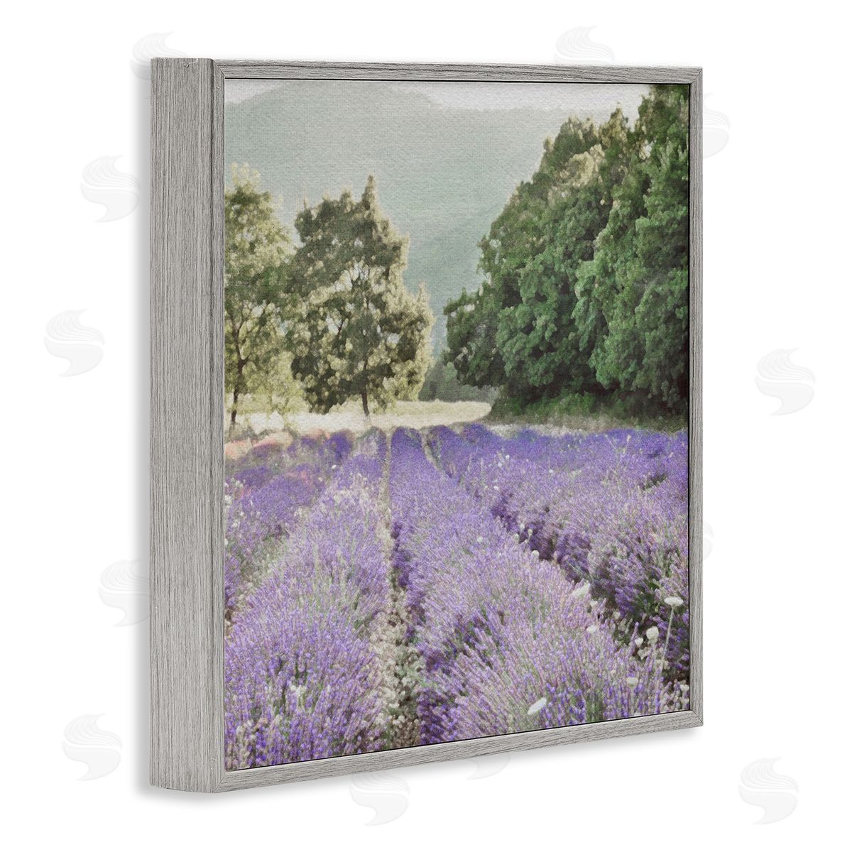 LSR Design Studio Lavender Meadow Fields Gray Framed Glicee Wall Art Print