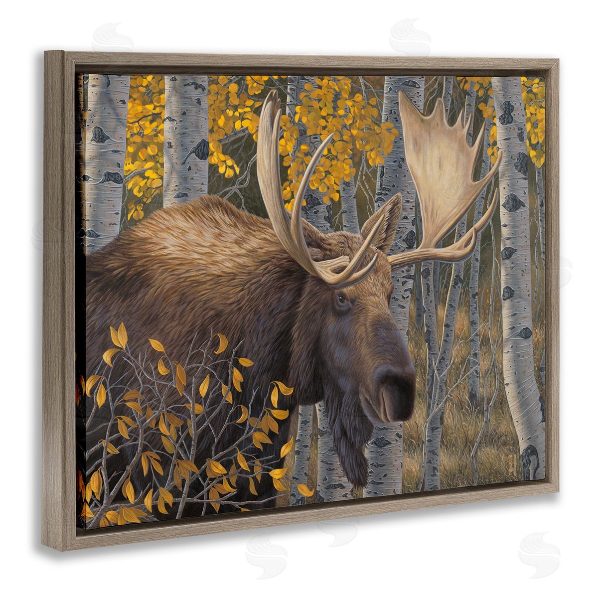 Jeff Hoff Moose in Fall Foliage Brown Floater Frame Canvas Artside_