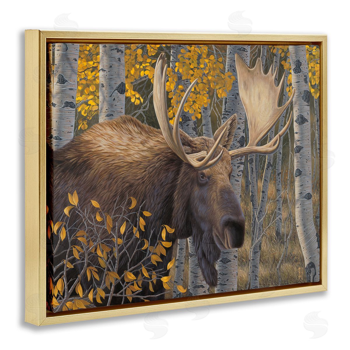 Jeff Hoff Moose in Fall Foliage Gold Floater Frame Canvas Artside_