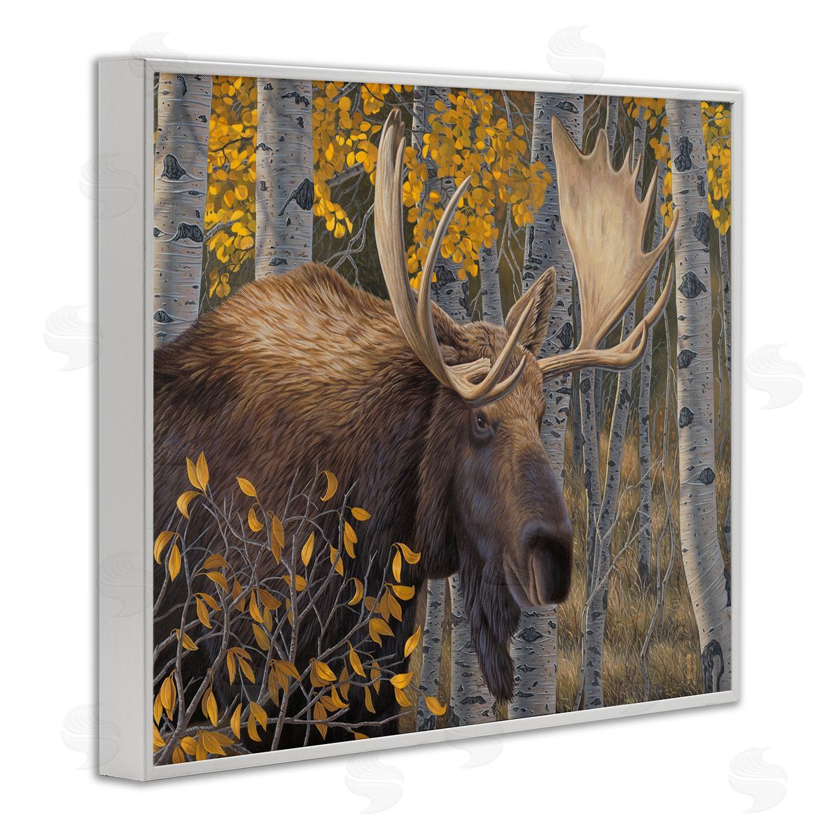 Jeff Hoff Moose in Fall Foliage White Framed Giclee Wall Artside_