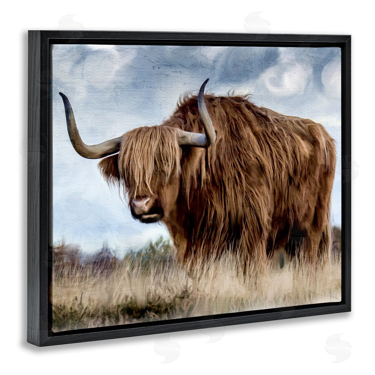 Kim Allen Highland Cattle in Field Black Floater Frame Canvas Artside_