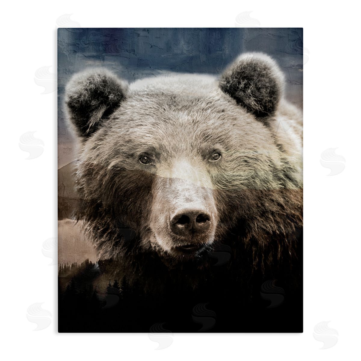 Kim Allen Grizzly Bear Face Portrait Canvas Wall Art