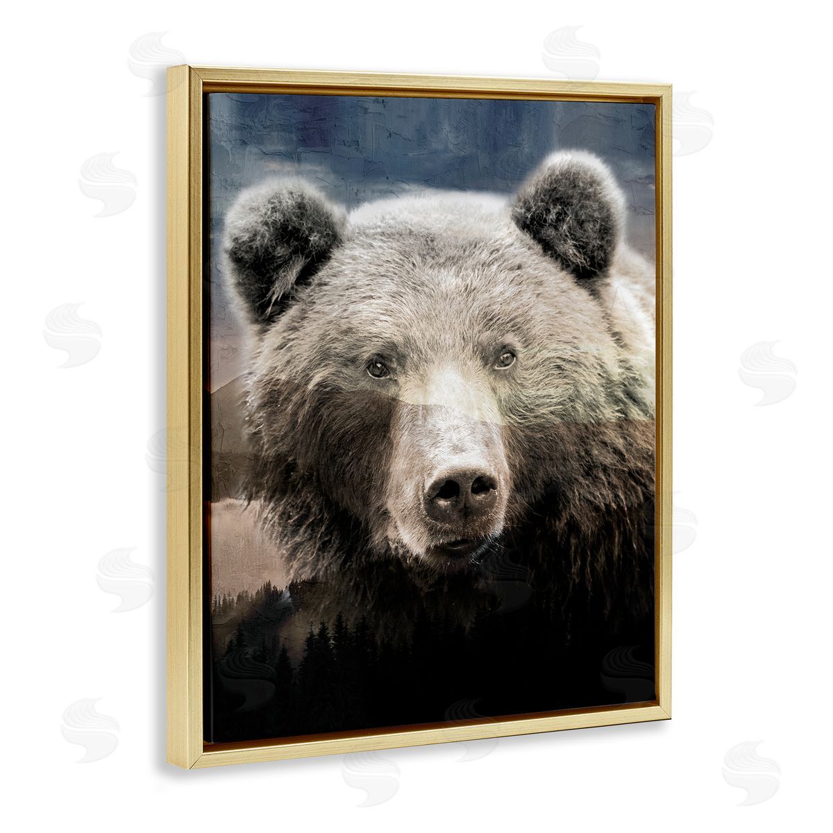 Kim Allen Grizzly Bear Face Portrait Gold Floater Frame Canvas Artside_