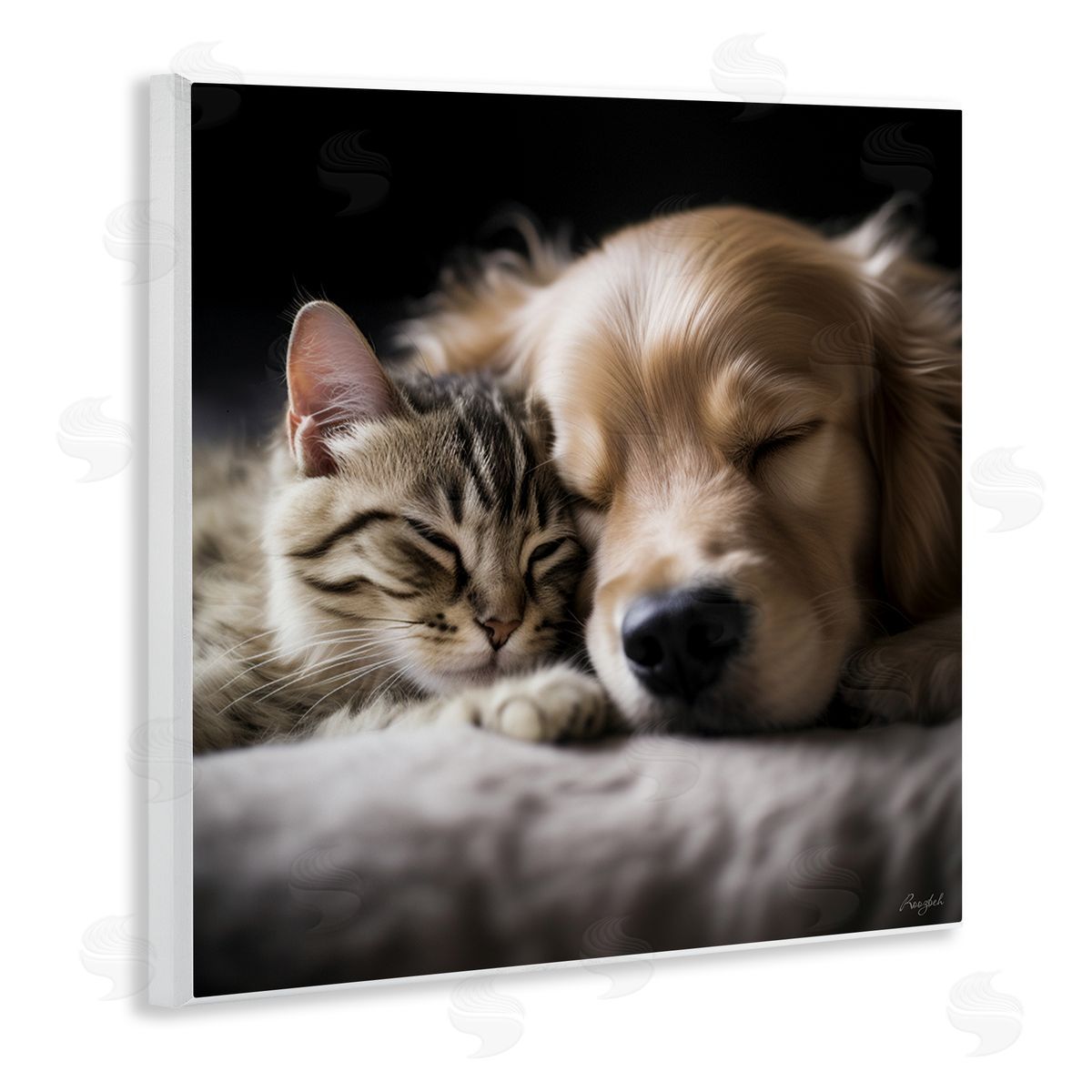 Roozbeh Cat & Dog Photography Wall Plaque Artside_