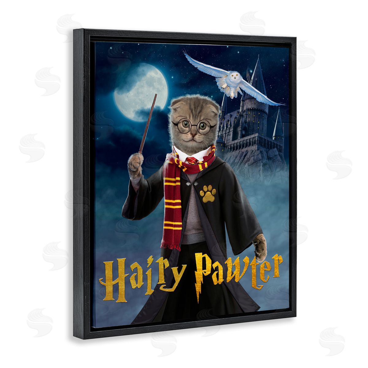 Vincent Hie Hairy Pawter Cat Wizard Black Floater Frame Canvas Artside_
