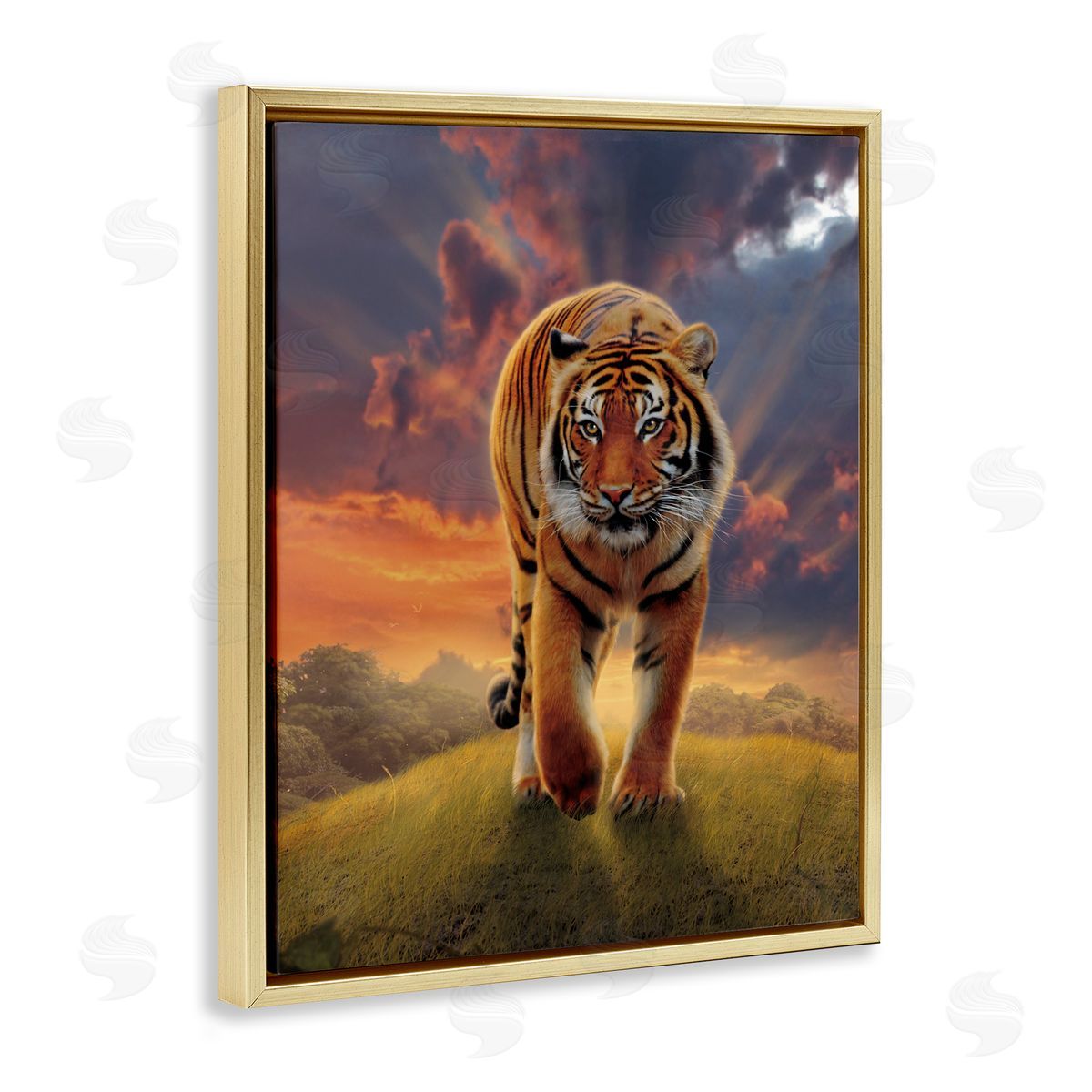 Vincent Hie Rising Tiger Sunset Gold Floater Frame Canvas Artside_