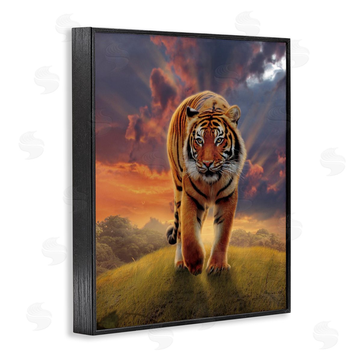 Vincent Hie Rising Tiger Sunset Black Framed Giclee Wall Artside_