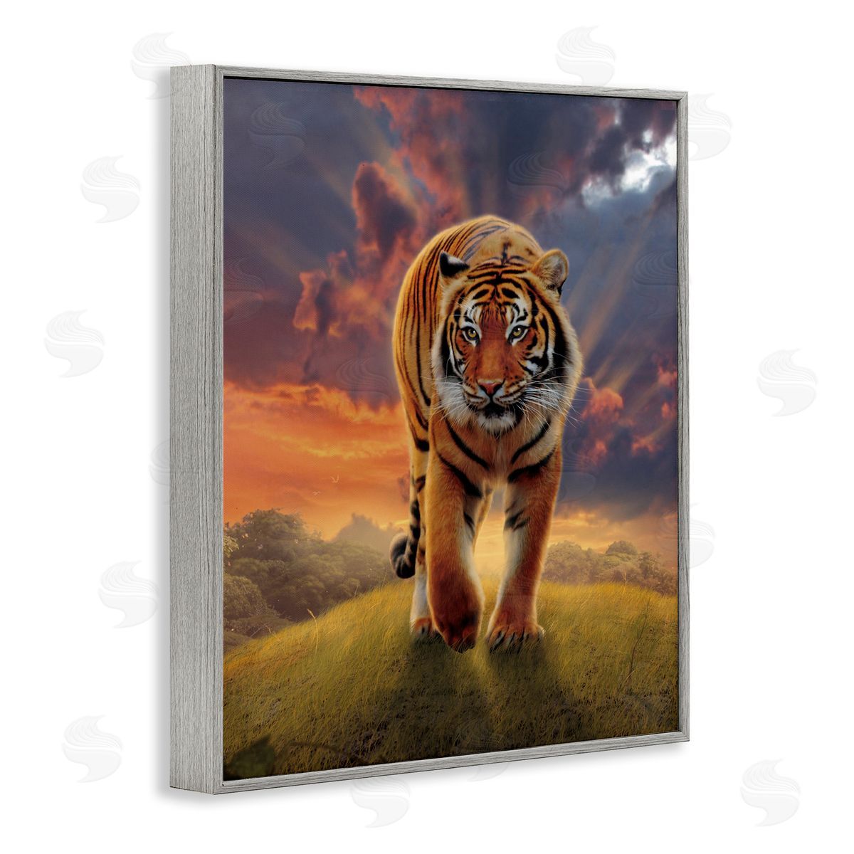 Vincent Hie Rising Tiger Sunset Gray Framed Giclee Wall Artside_