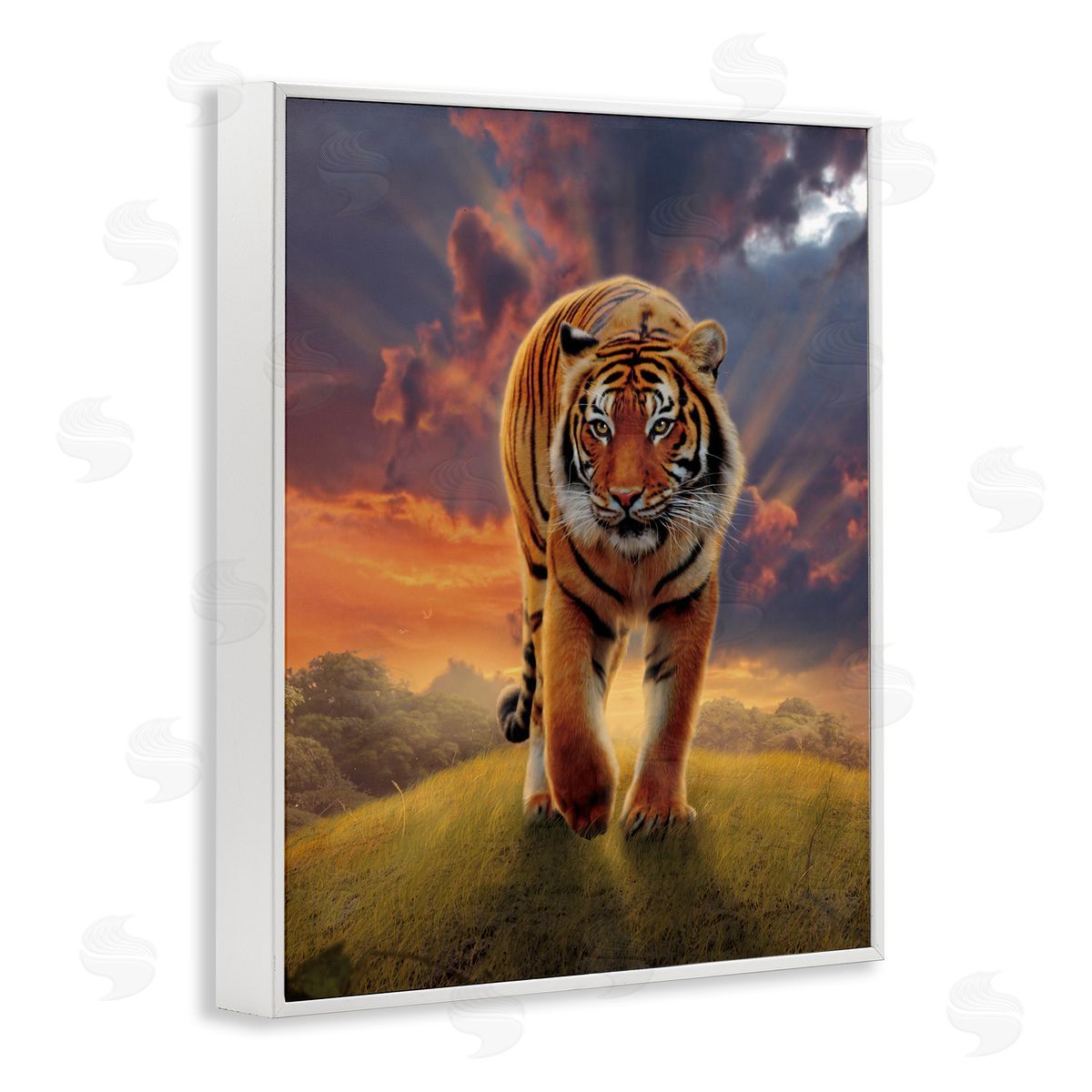 Vincent Hie Rising Tiger Sunset White Framed Giclee Wall Artside_