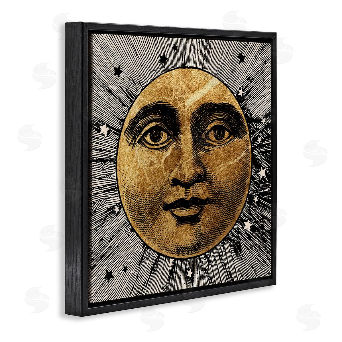 Stupell Studio Detailed Moon Face Black Floater Frame Canvas Artside_
