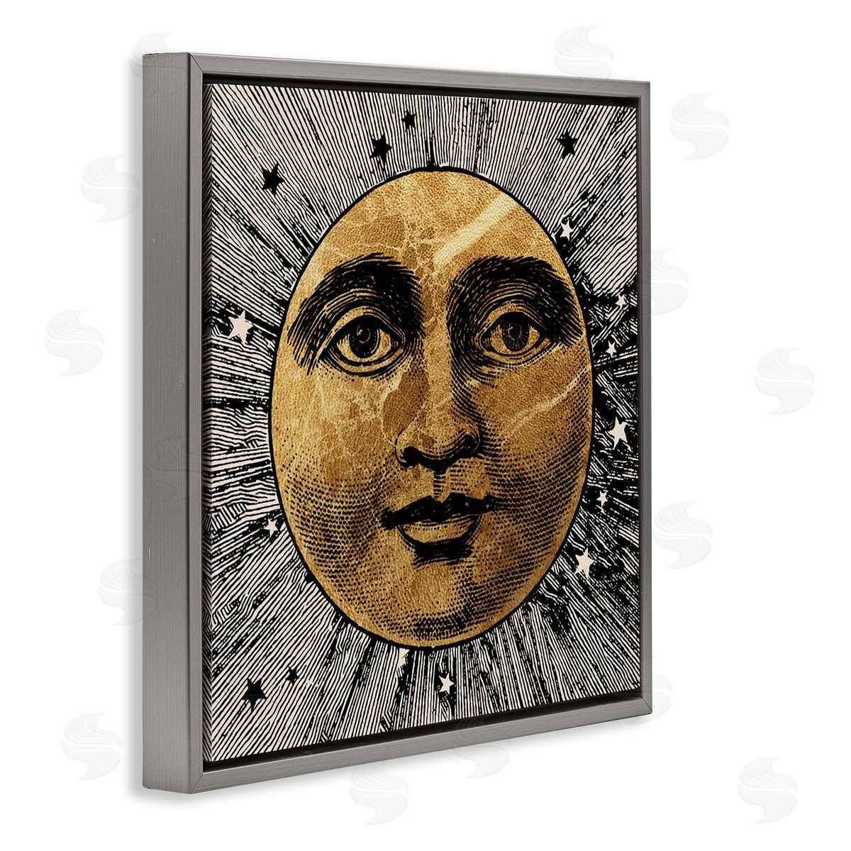 Stupell Studio Detailed Moon Face Gray Floater Frame Canvas Artside_
