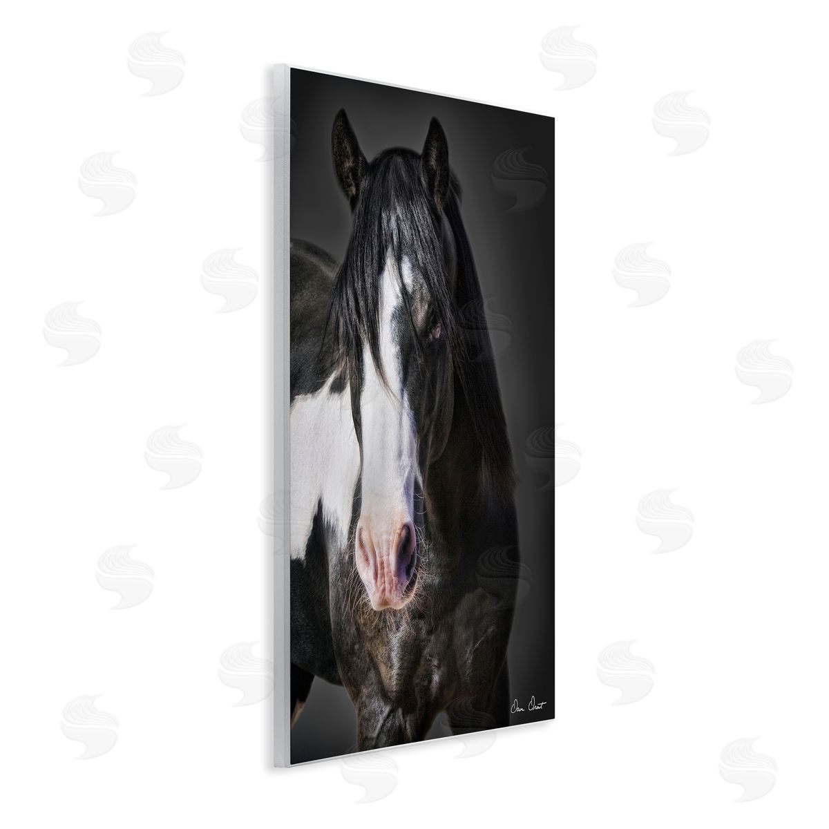 David Drost Black & White Horse Wall Plaque Artside_