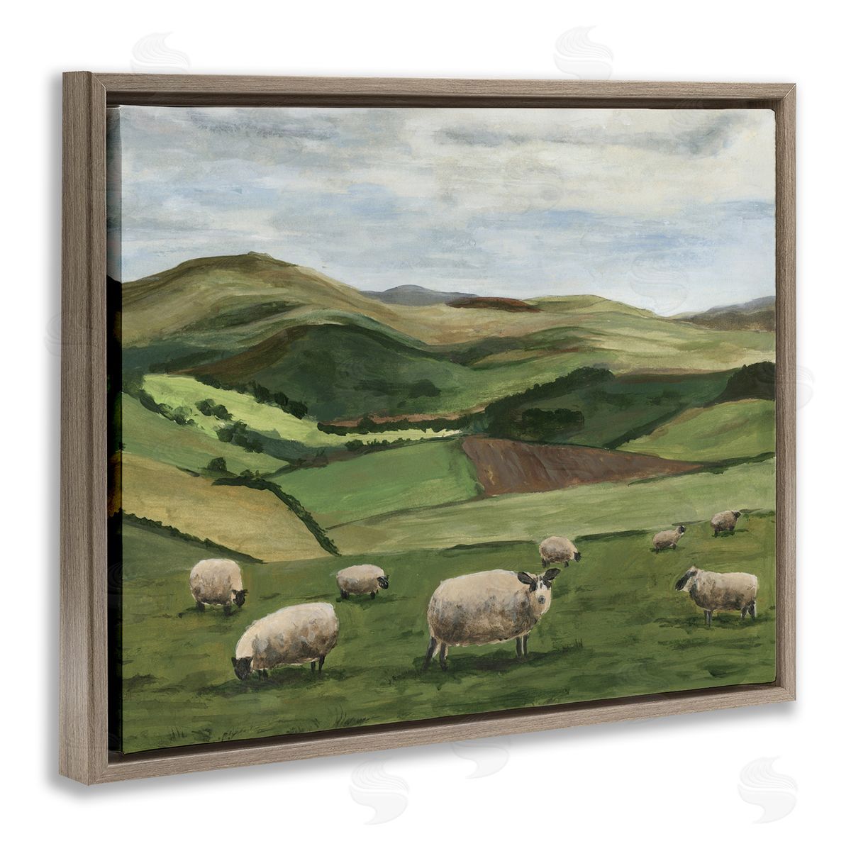 Michael Willett Countryside Sheep Grazing Brown Floater Frame Canvas Artside_