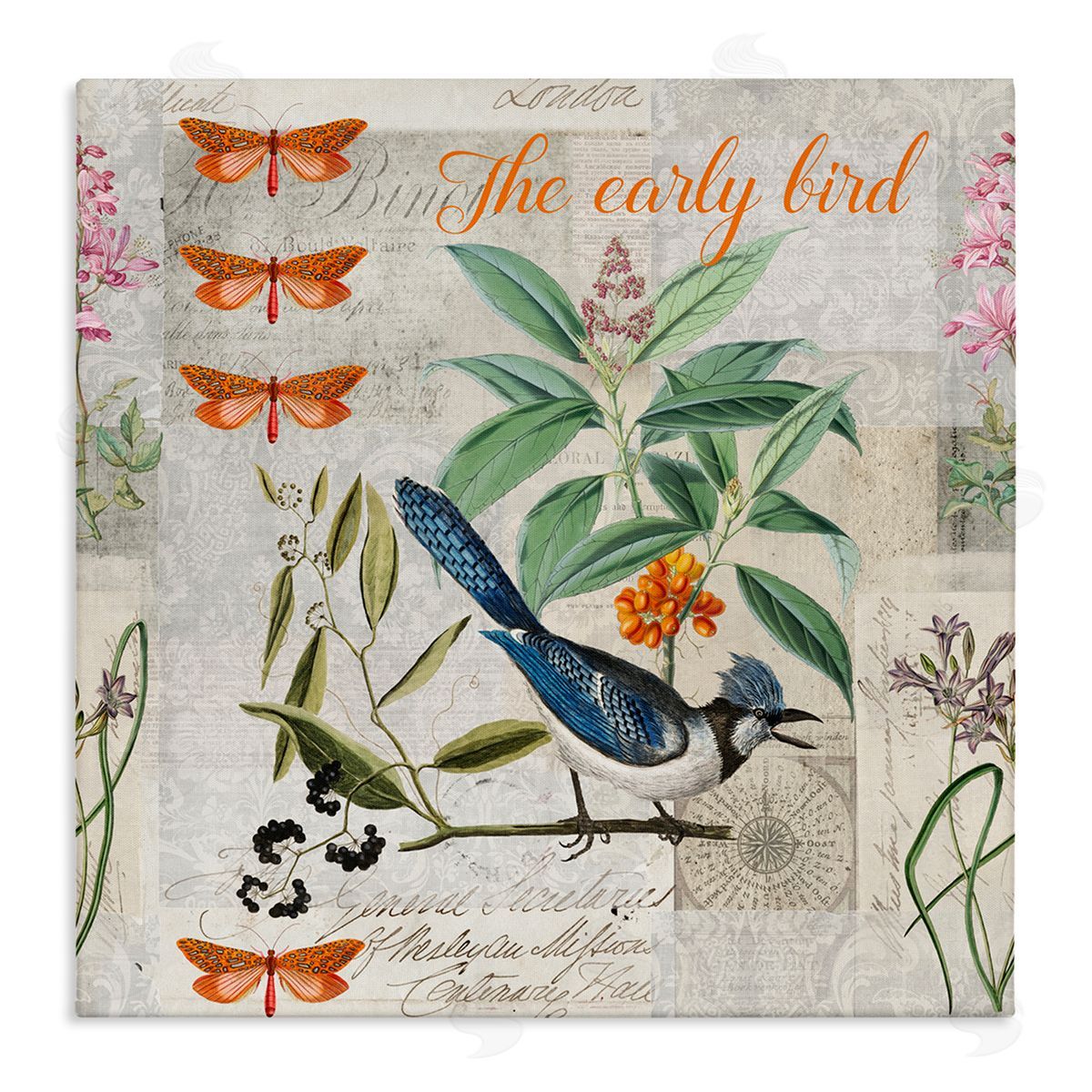 Andrea Haase Early Bird Vintage Nature Canvas Wall Art