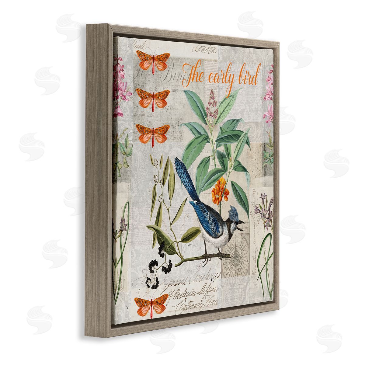 Andrea Haase Early Bird Vintage Nature Brown Floater Frame Canvas Artside_