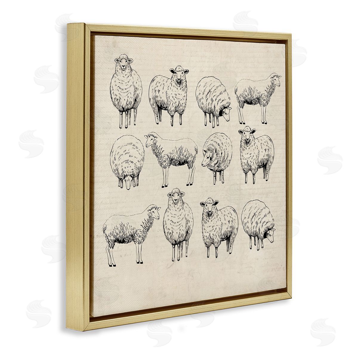 Karen Smith Vintage Sheep Drawings Gold Floater Frame Canvas Artside_