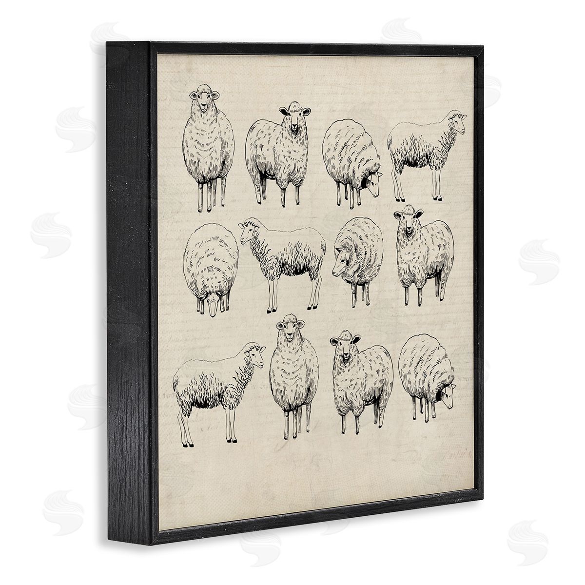Karen Smith Vintage Sheep Drawings Black Framed Giclee Wall Artside_