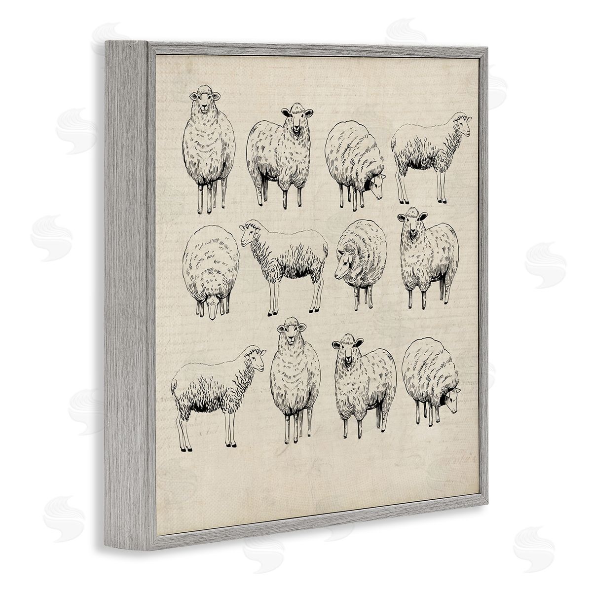 Karen Smith Vintage Sheep Drawings Gray Framed Giclee Wall Artside_