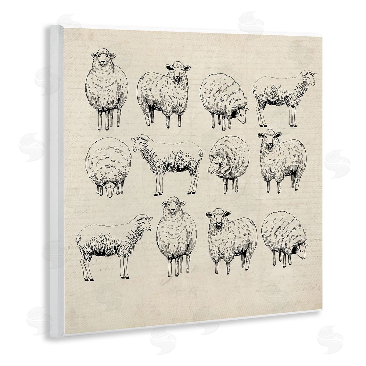 Karen Smith Vintage Sheep Drawings Wall Plaque Artside_