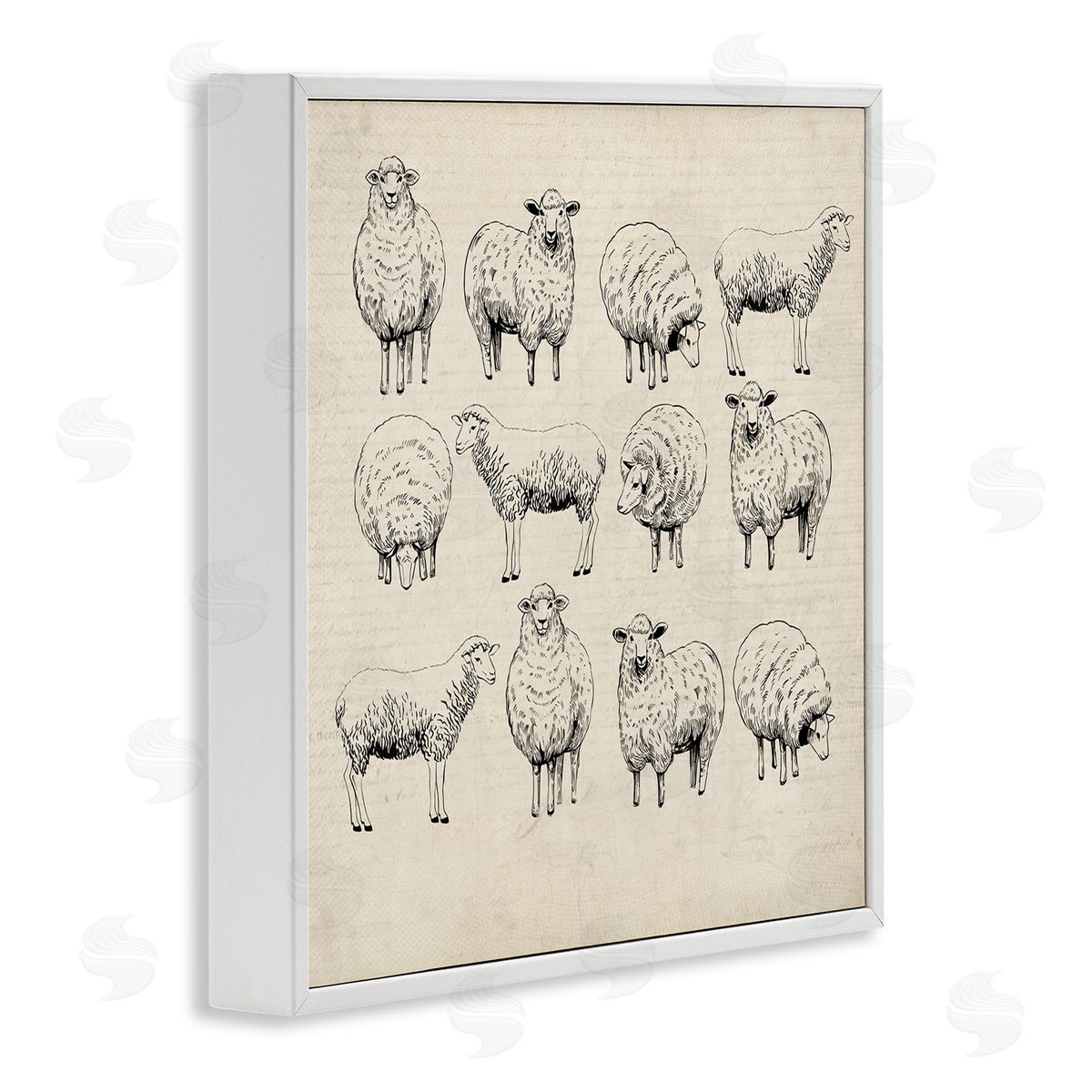 Karen Smith Vintage Sheep Drawings White Framed Giclee Wall Artside_