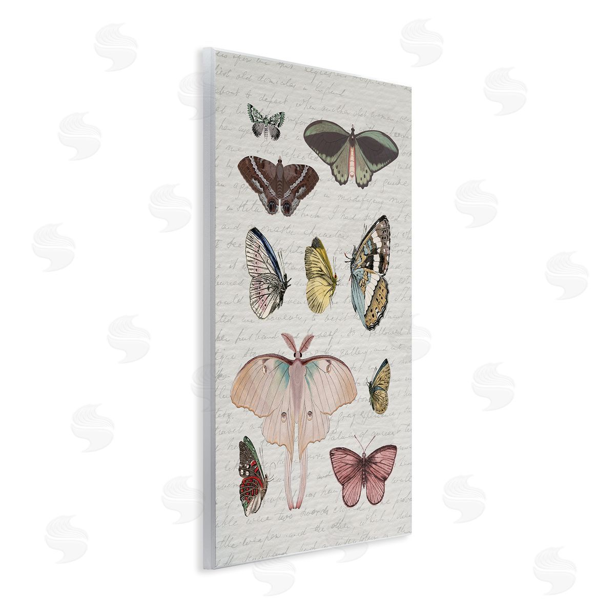 Stupell Studio Moths & Butterflies Vintage Wall Plaque Artside_