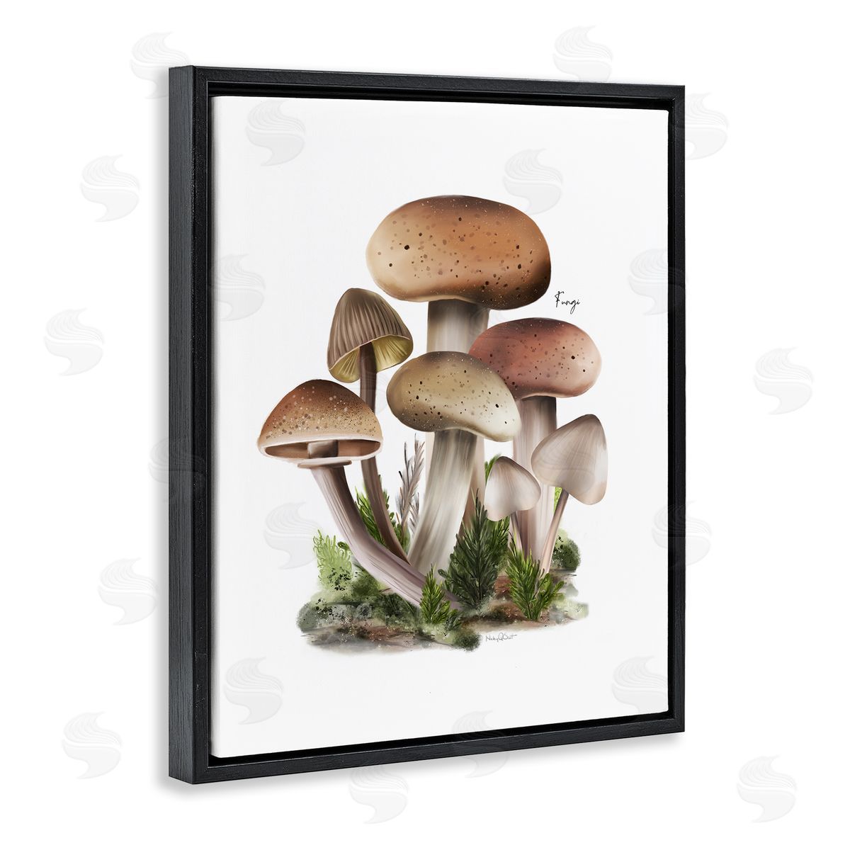 Studio Q Mushrooms on White Black Floater Frame Canvas Artside_
