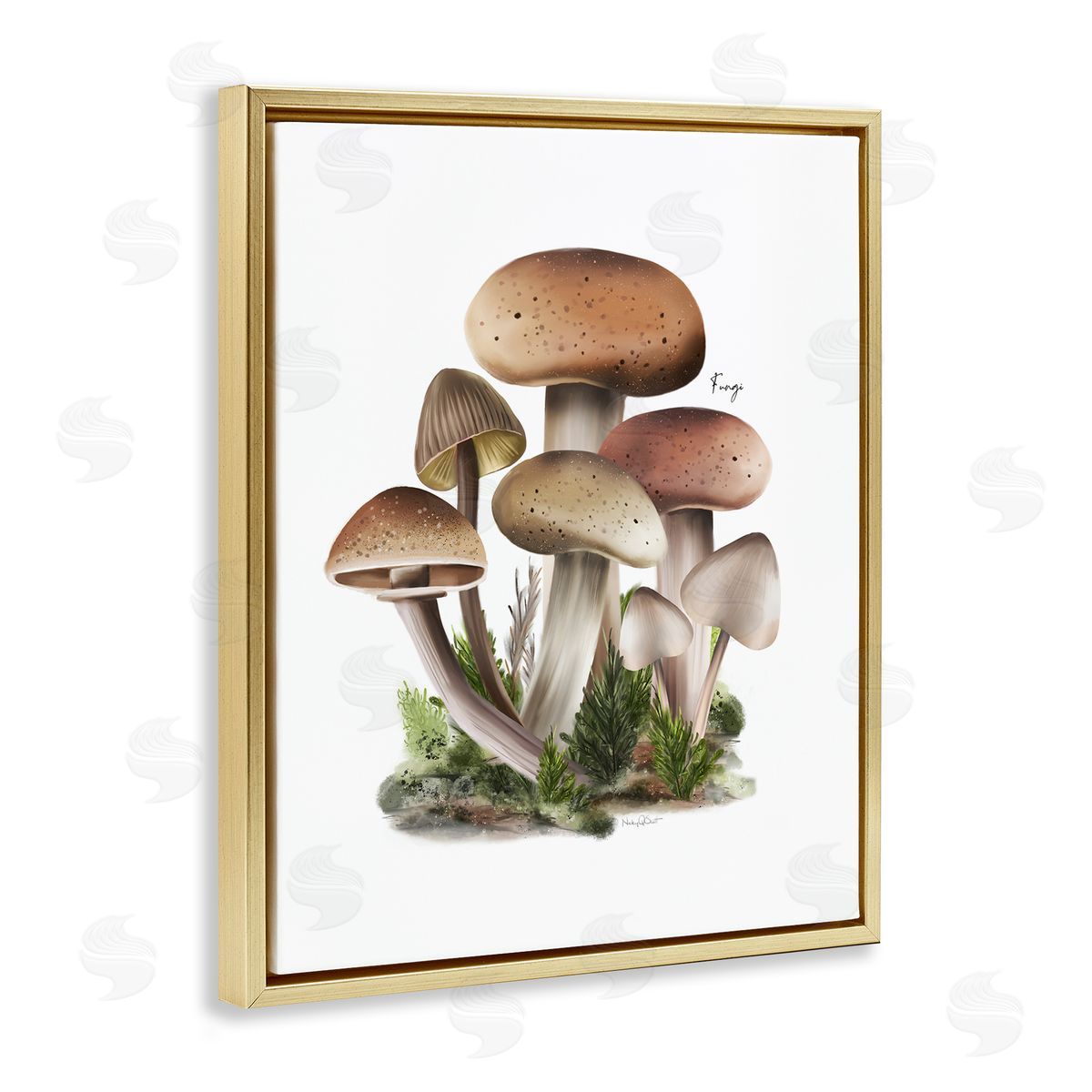 Studio Q Mushrooms on White Gold Floater Frame Canvas Artside_