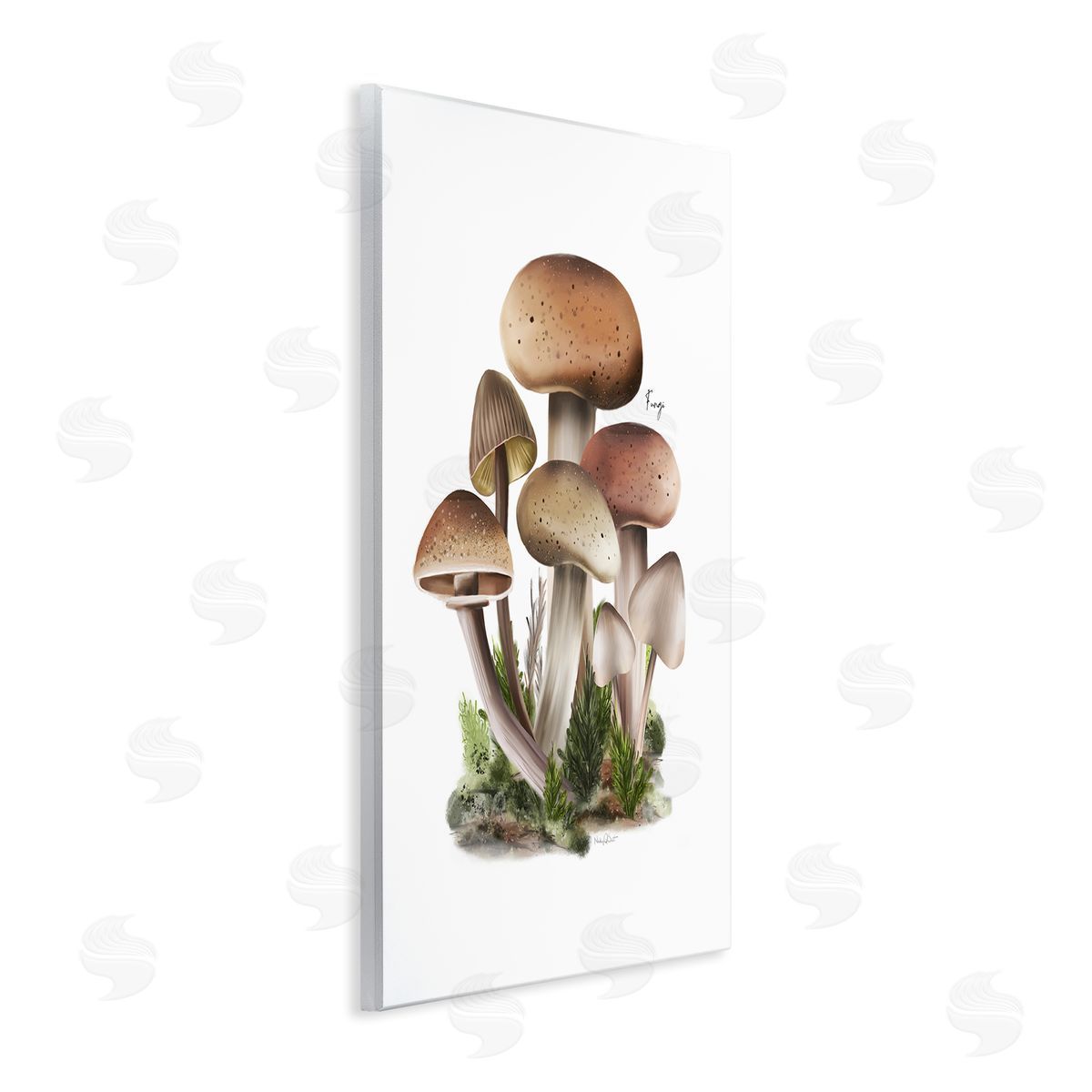 Studio Q Mushrooms on White Wall Plaque Artside_