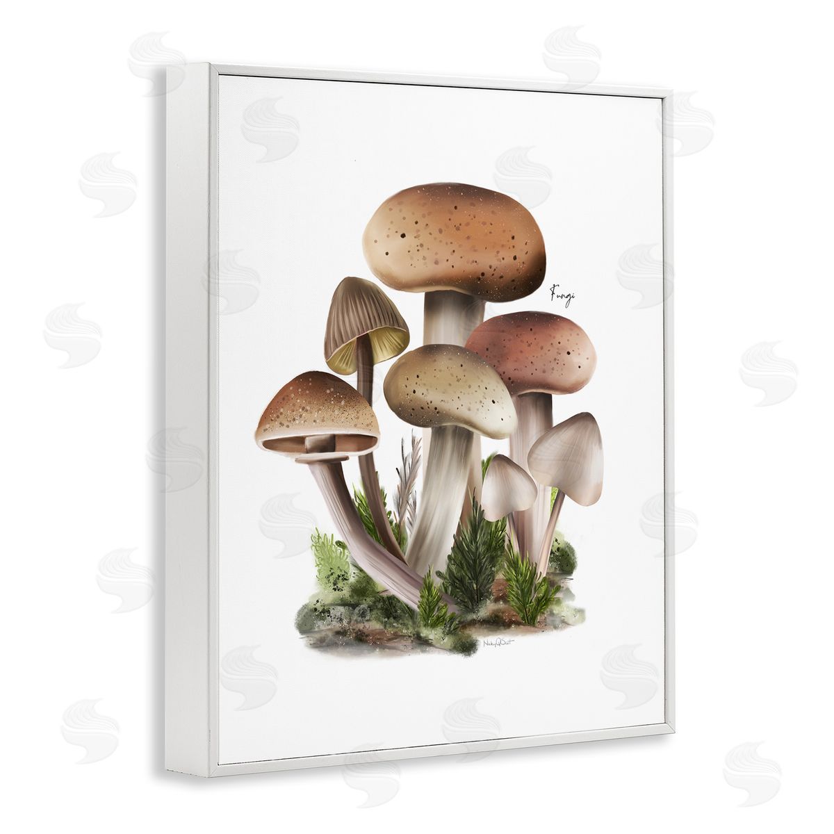 Studio Q Mushrooms on White White Framed Giclee Wall Artside_