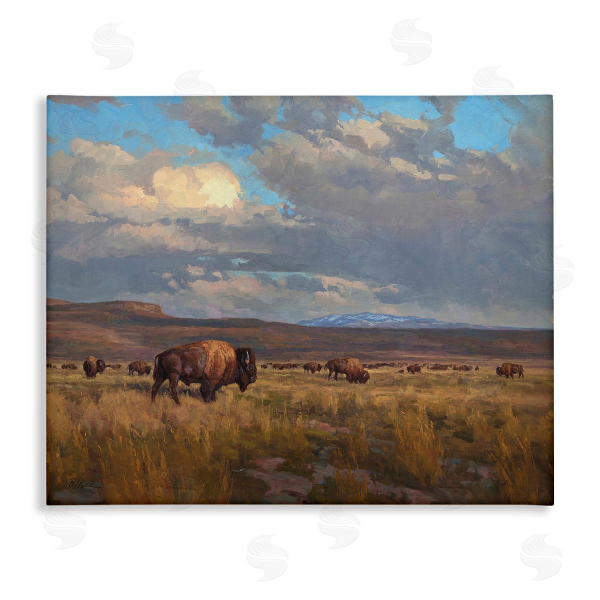 Chad Poppleton Buffalo Cloudy Landscape Canvas Wall Art
