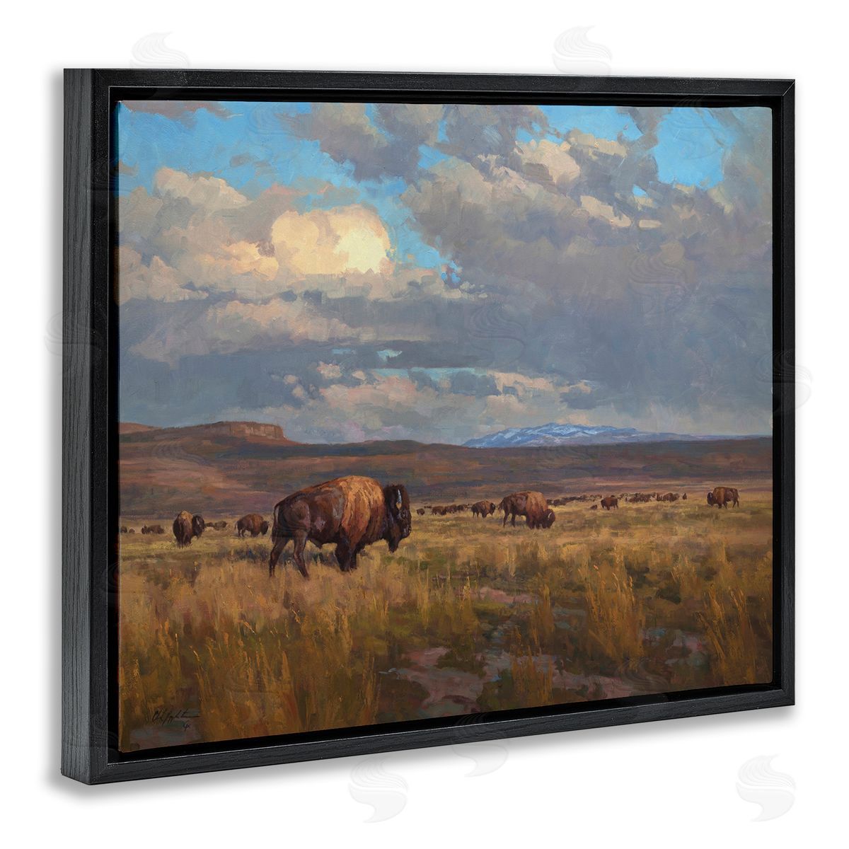 Chad Poppleton Buffalo Cloudy Landscape Black Floater Frame Canvas Artside_