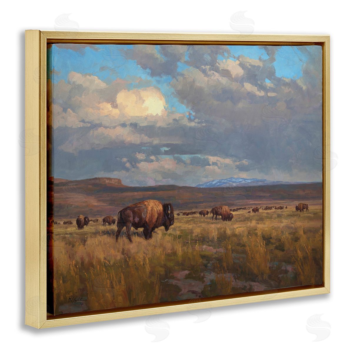 Chad Poppleton Buffalo Cloudy Landscape Gold Floater Frame Canvas Artside_